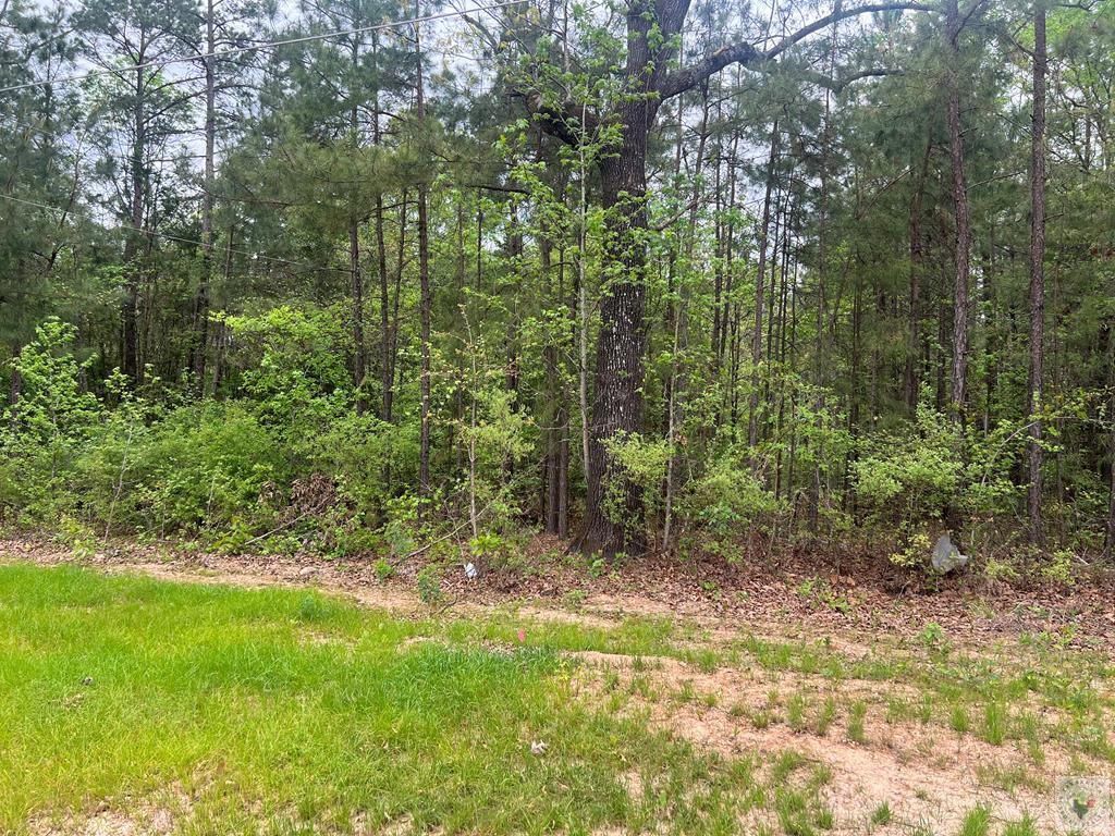 HICKORY OAK LN HICKORY OAK LN