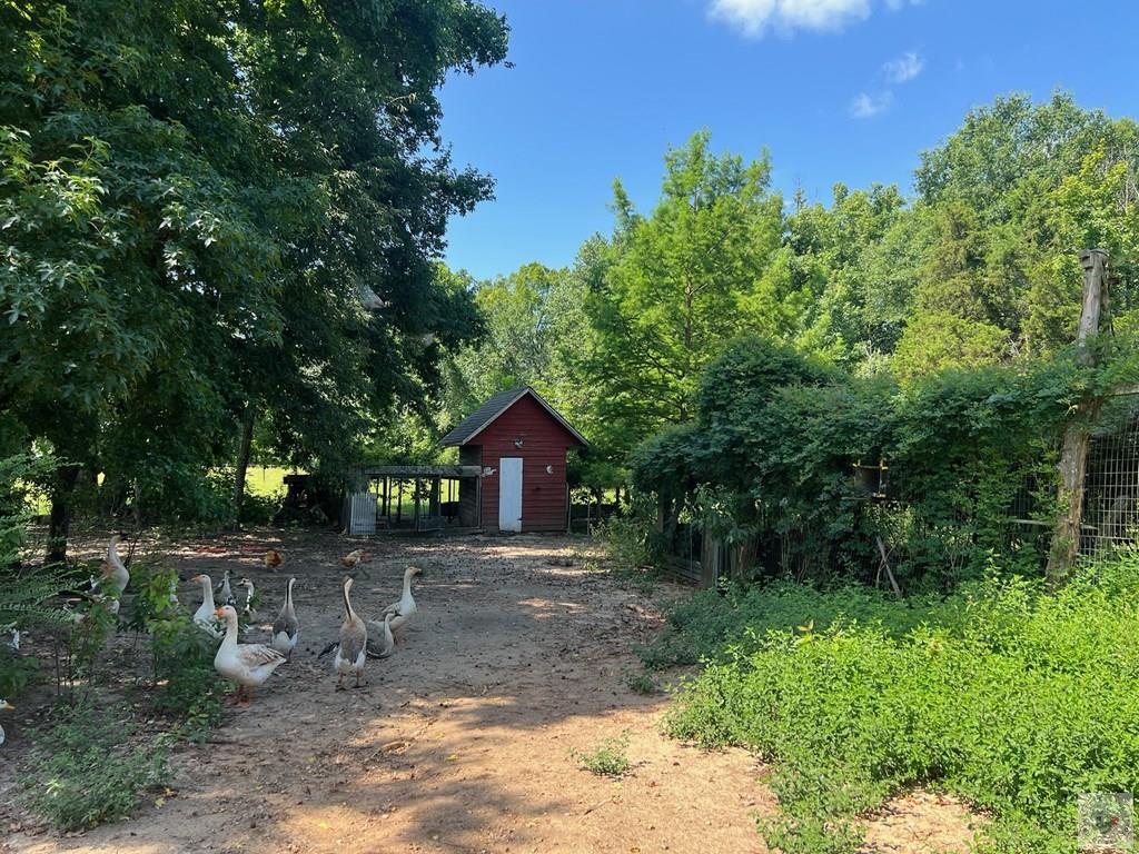1105 CR 3306, DeKalb