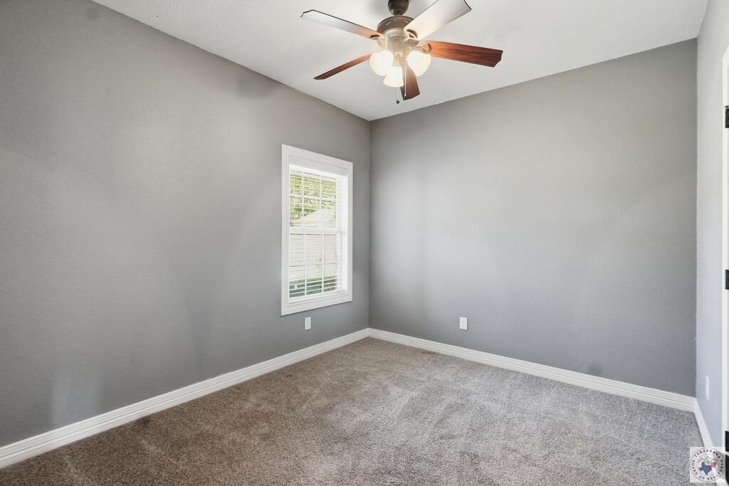 Empty bedroom with gray walls, beige carpet, a window with blinds, and a ceiling fan.