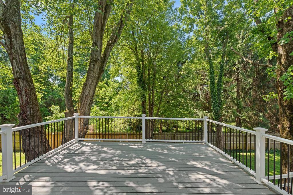 14906 DUNSTAN LANE