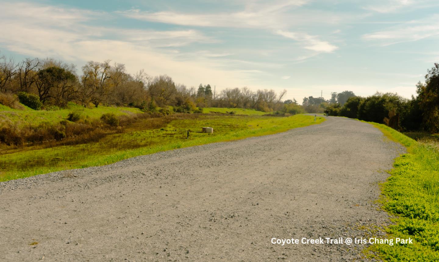 430 Galleria Drive 4