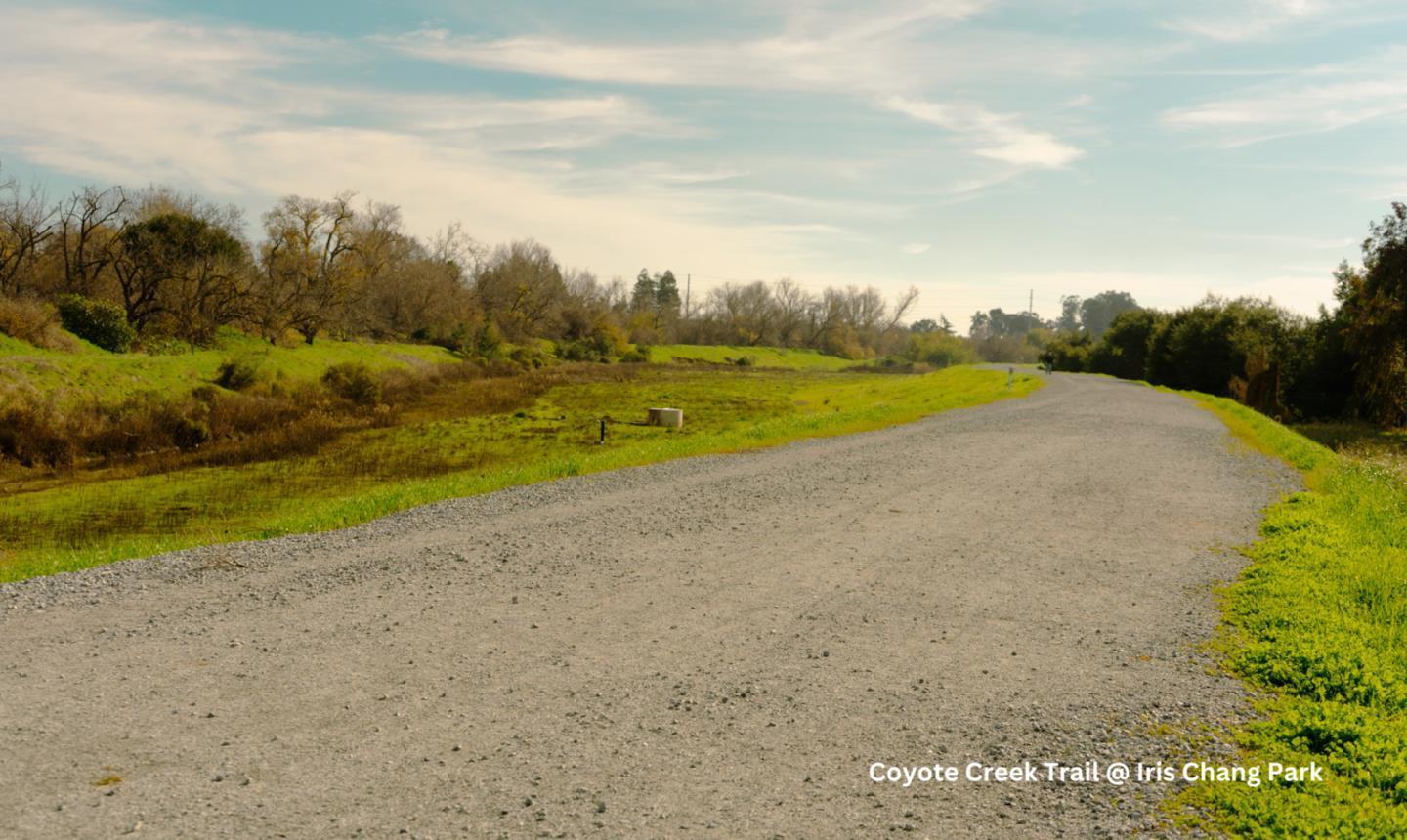 430 Galleria Drive 4