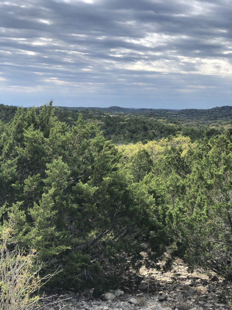 TBD County Road 635