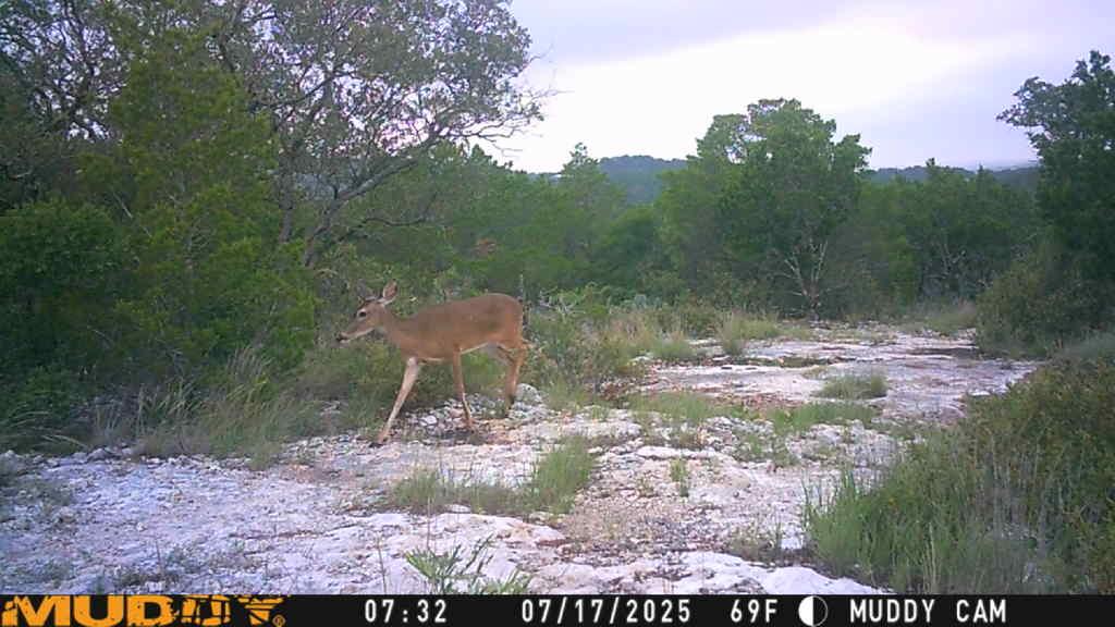 TBD County Road 635