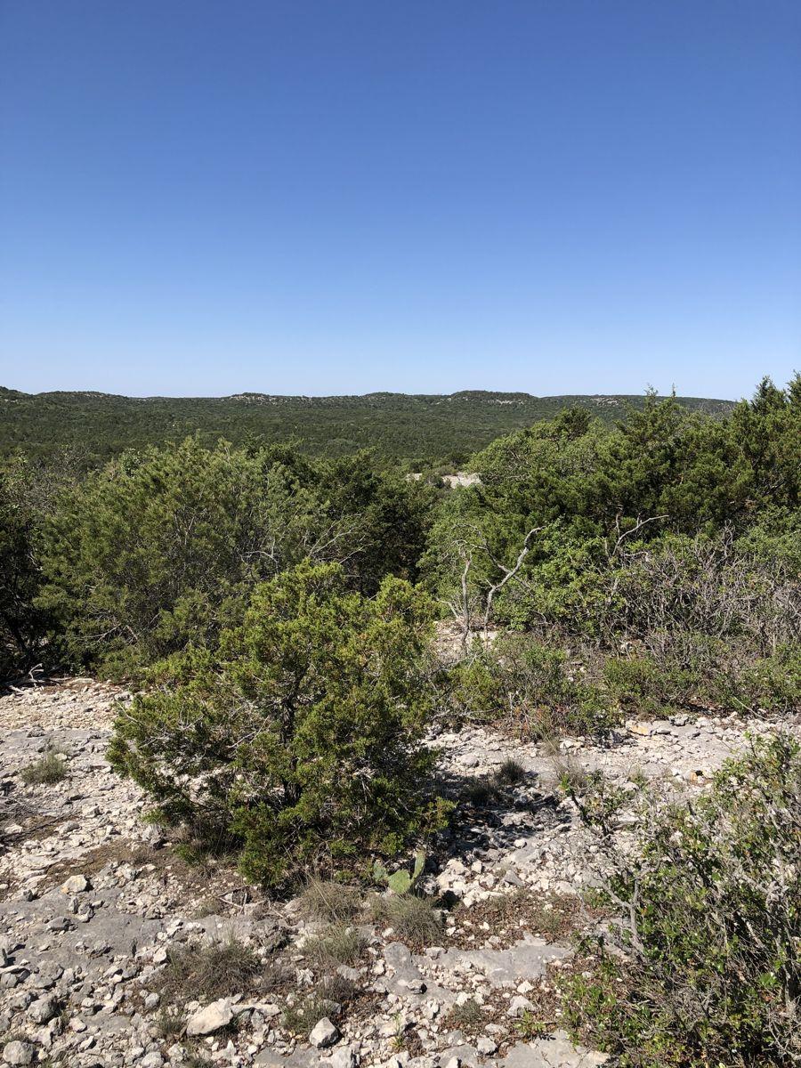 TBD County Road 635