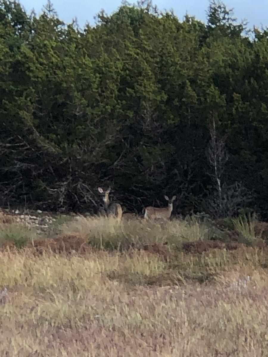 TBD County Road 635