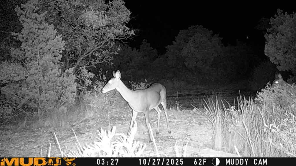 TBD County Road 635
