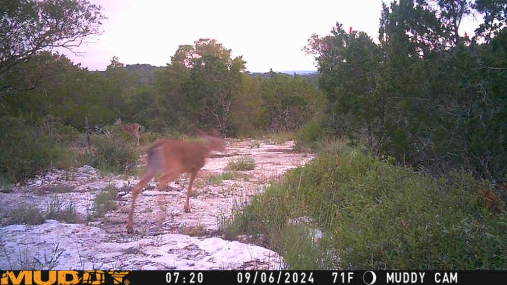 TBD County Road 635