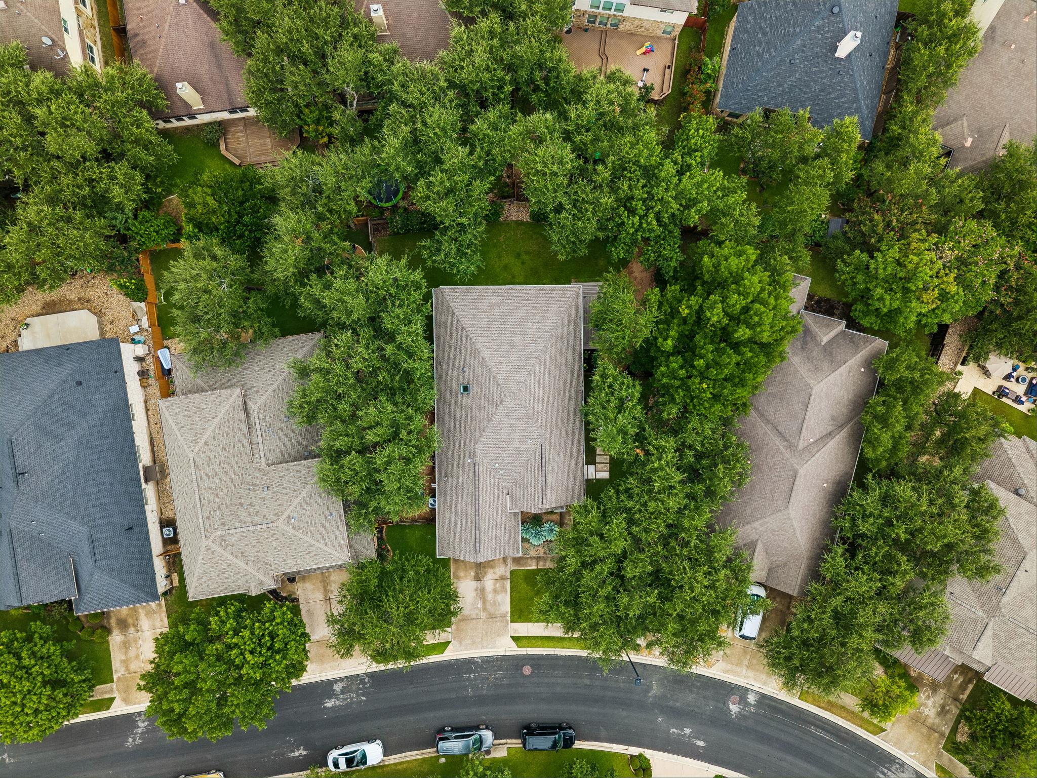 8112 Alophia DR