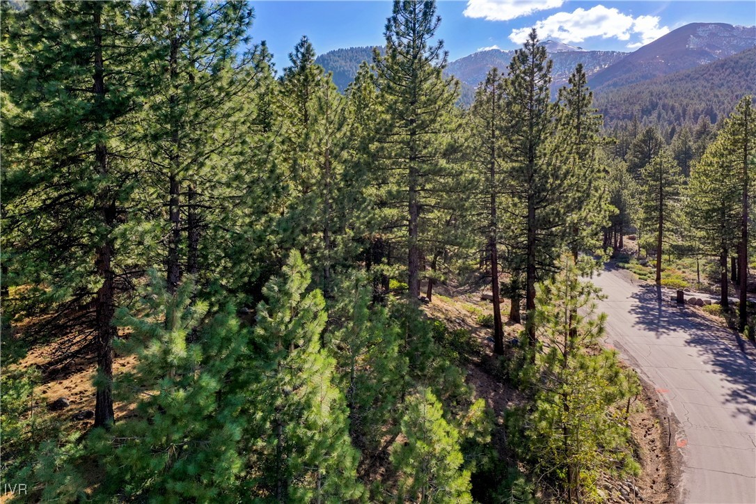 1205 Douglas Fir Drive