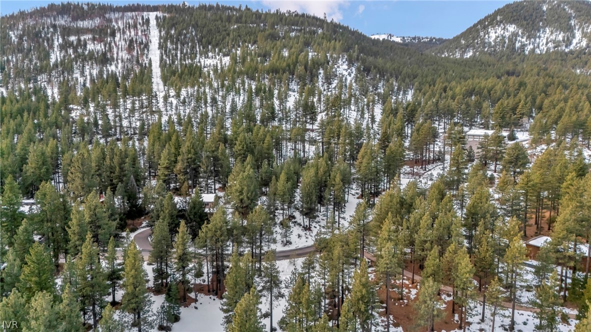 1205 Douglas Fir Drive