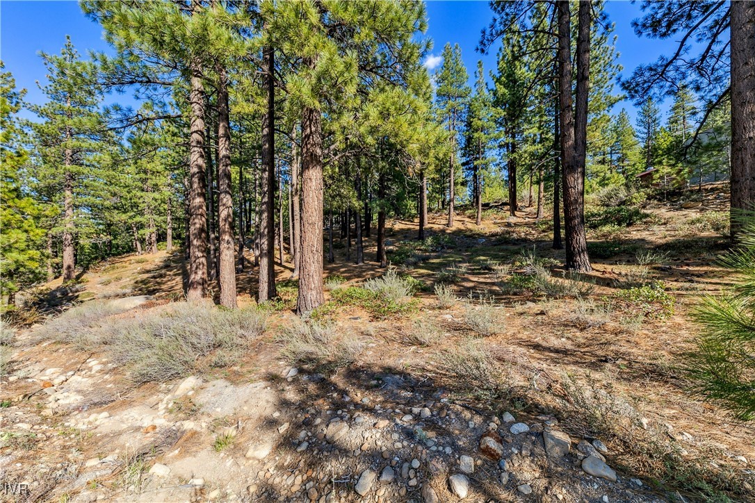 1205 Douglas Fir Drive