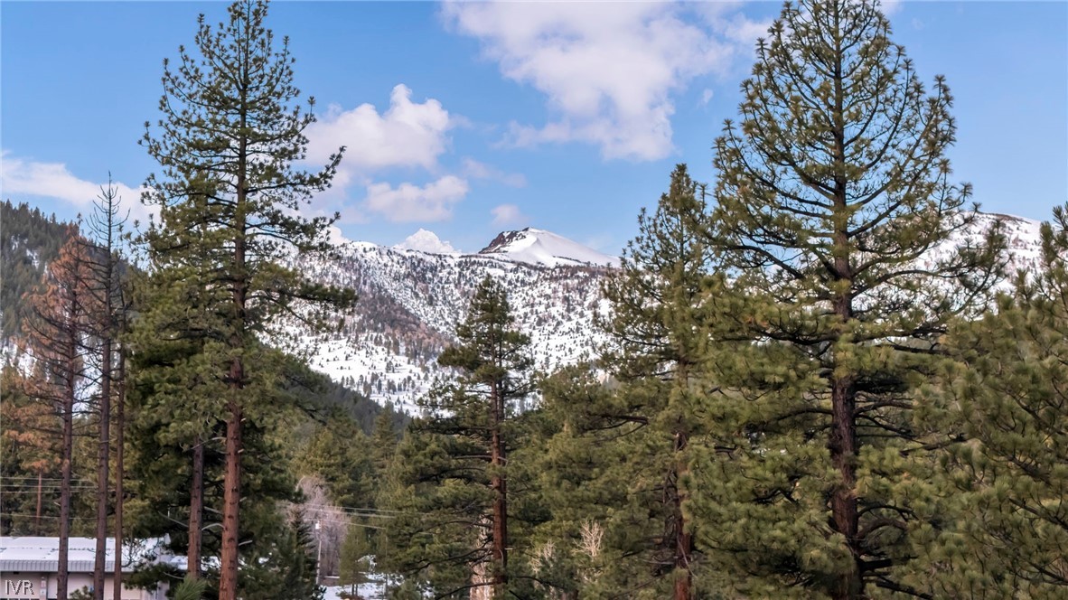 1205 Douglas Fir Drive