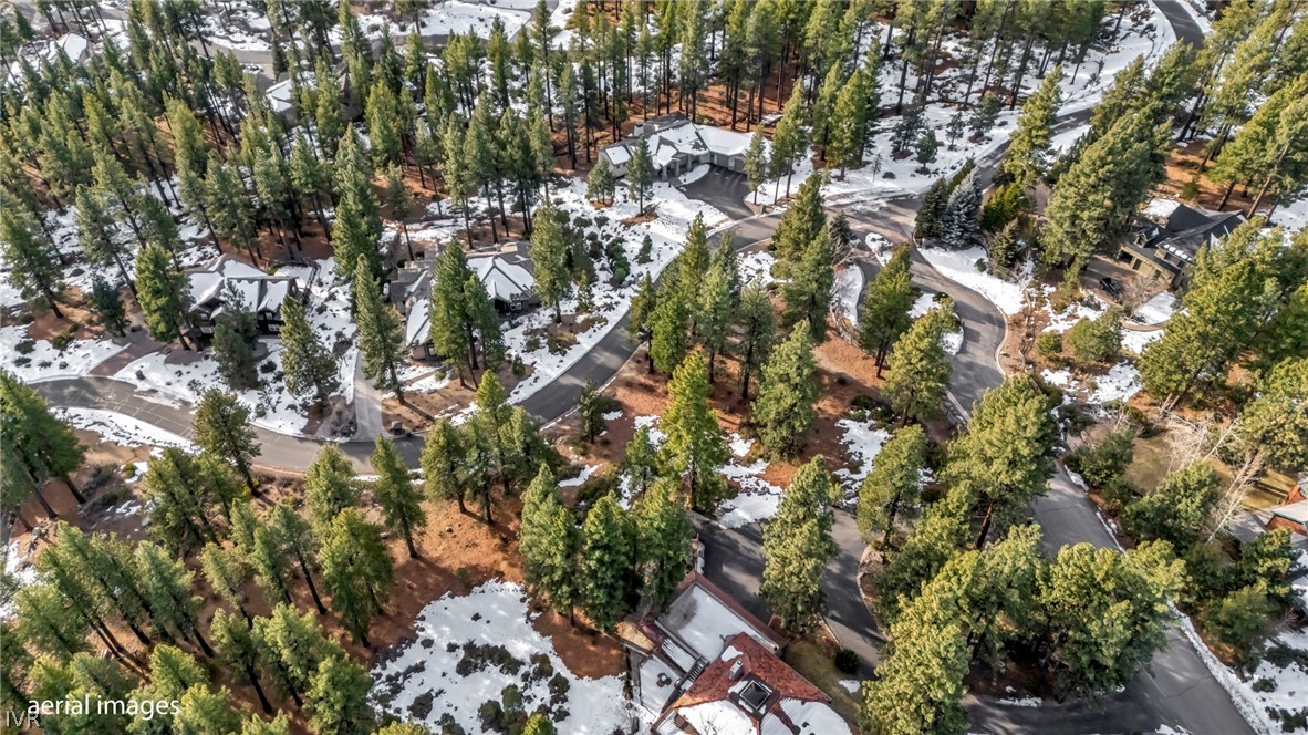 307 E Jeffrey Pine Rd