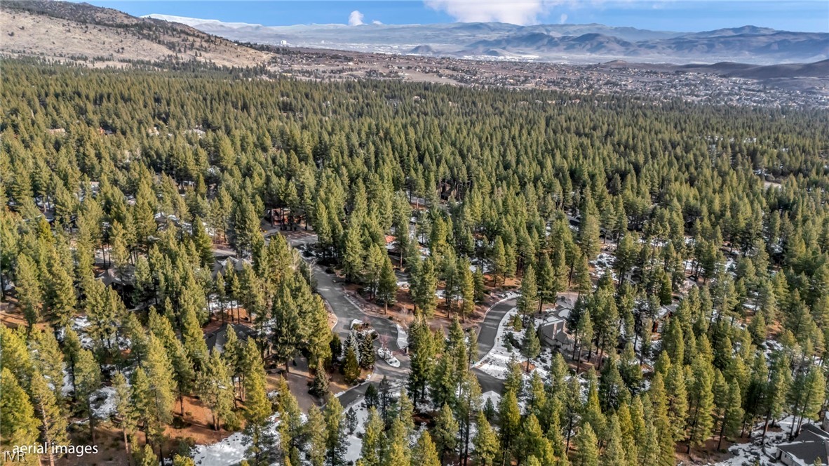 307 E Jeffrey Pine Rd