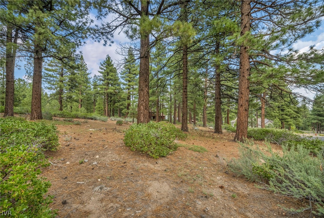 307 E Jeffrey Pine Rd