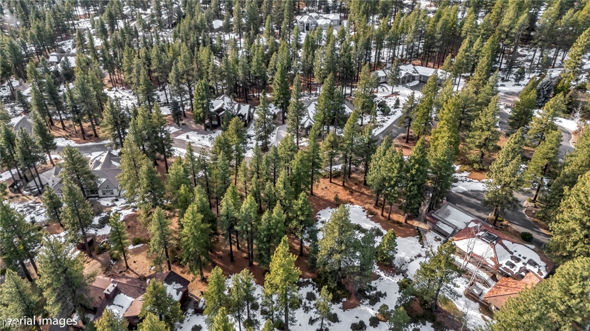 307 E Jeffrey Pine Rd