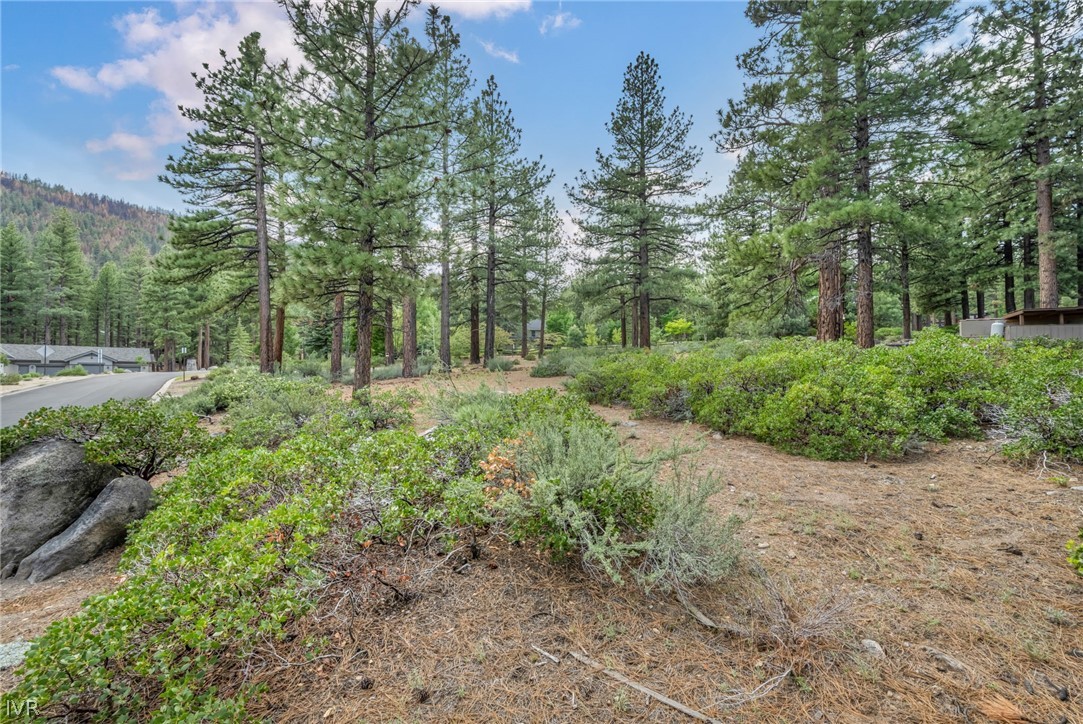 307 E Jeffrey Pine Rd