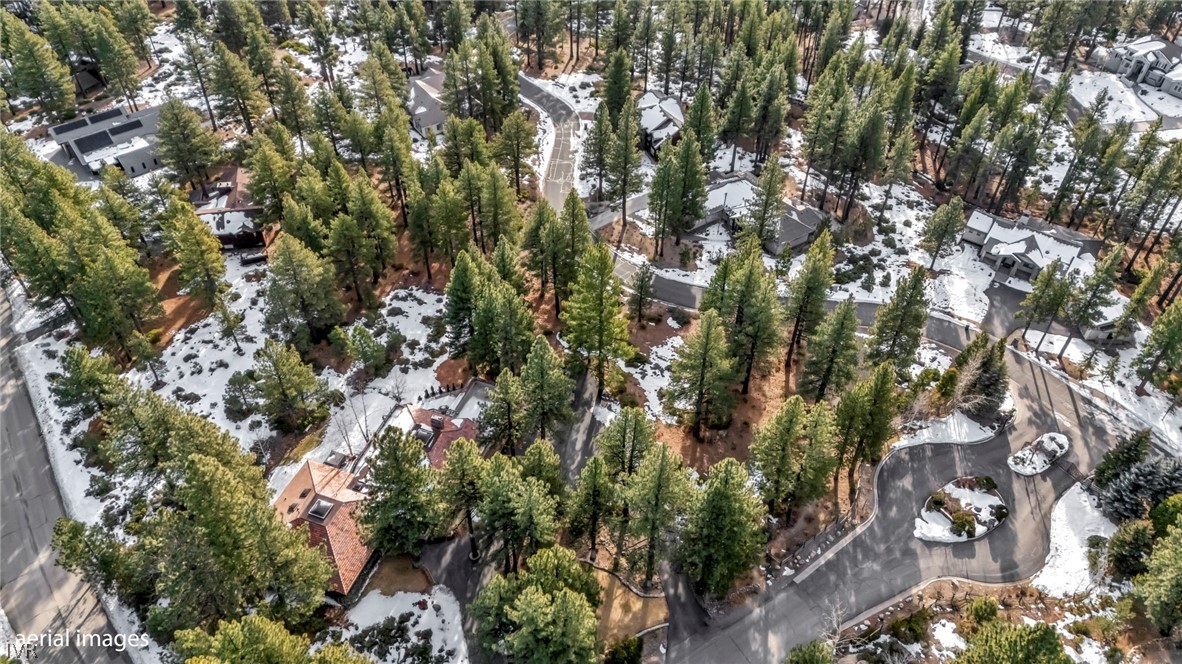 307 E Jeffrey Pine Rd