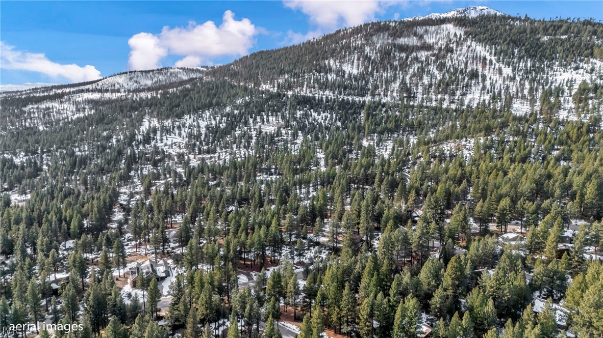 307 E Jeffrey Pine Rd