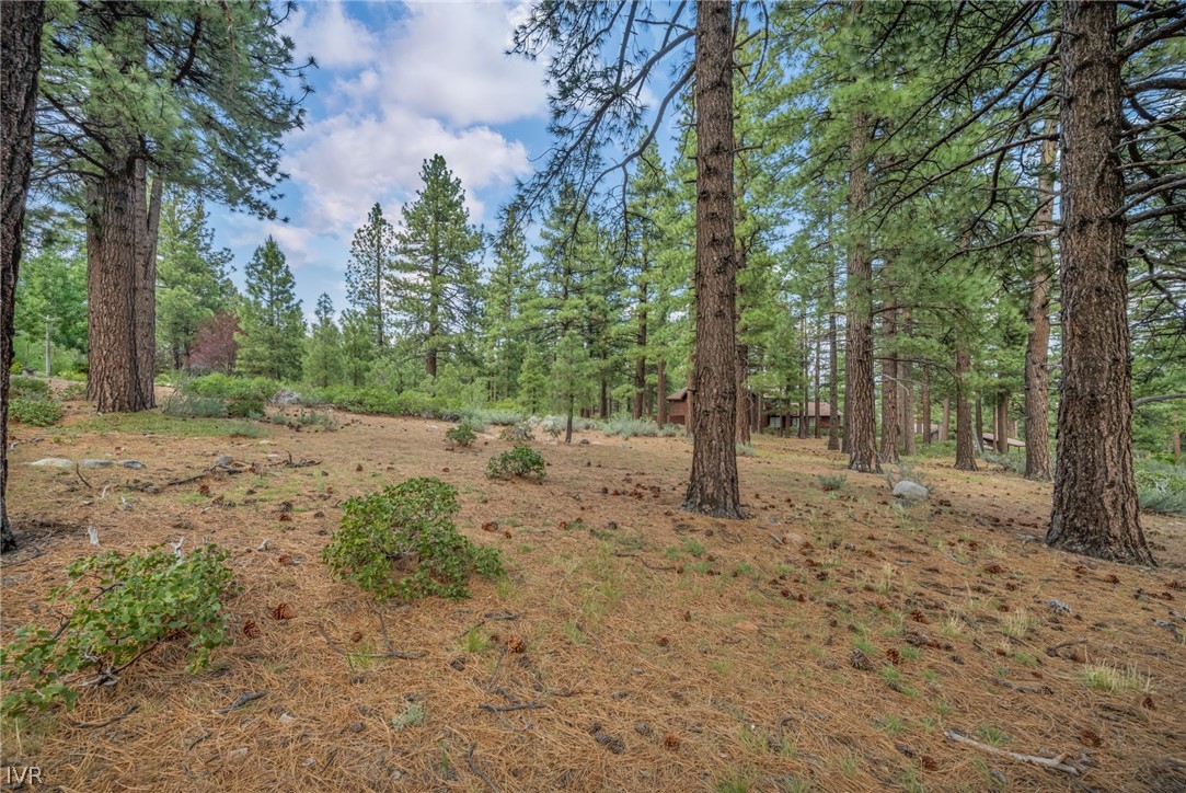 307 E Jeffrey Pine Rd