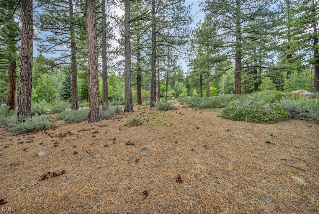 307 E Jeffrey Pine Rd