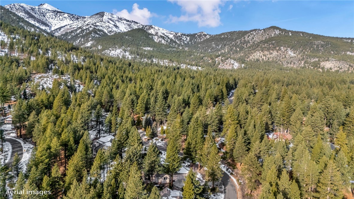 307 E Jeffrey Pine Rd