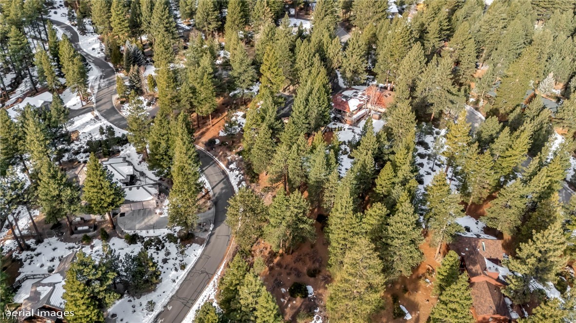 307 E Jeffrey Pine Rd