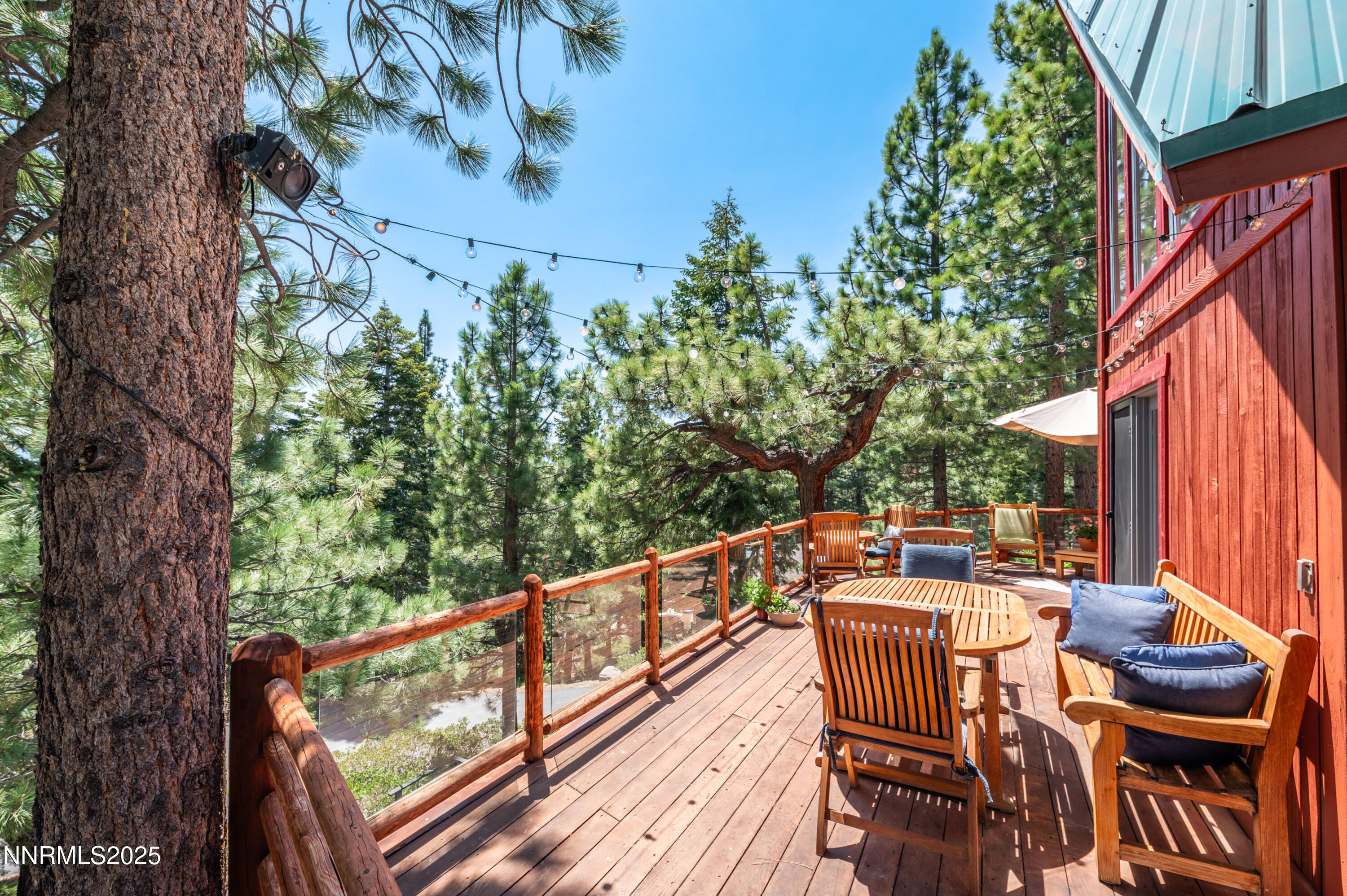 698 Saddlehorn Drive