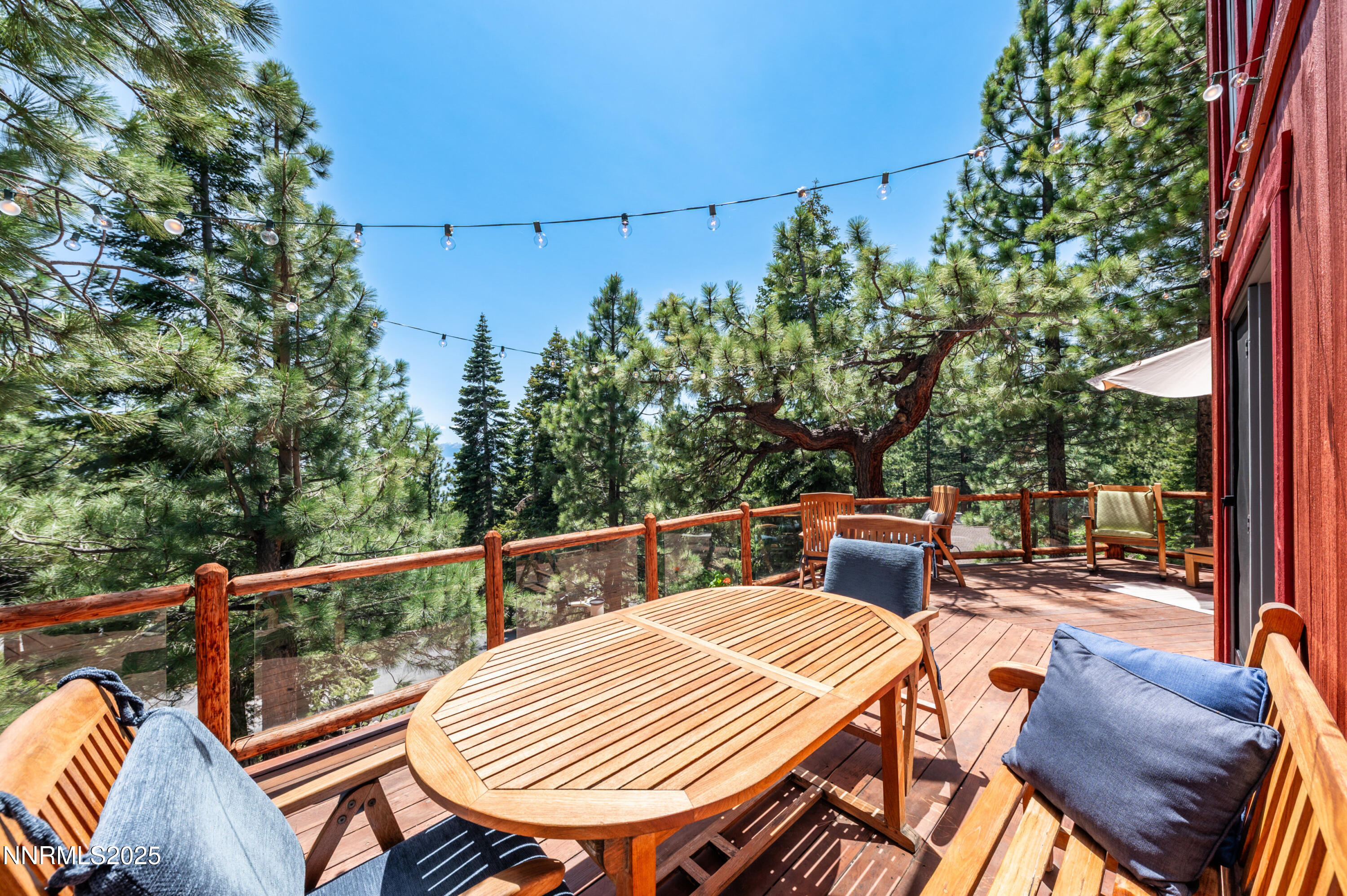 698 Saddlehorn Drive