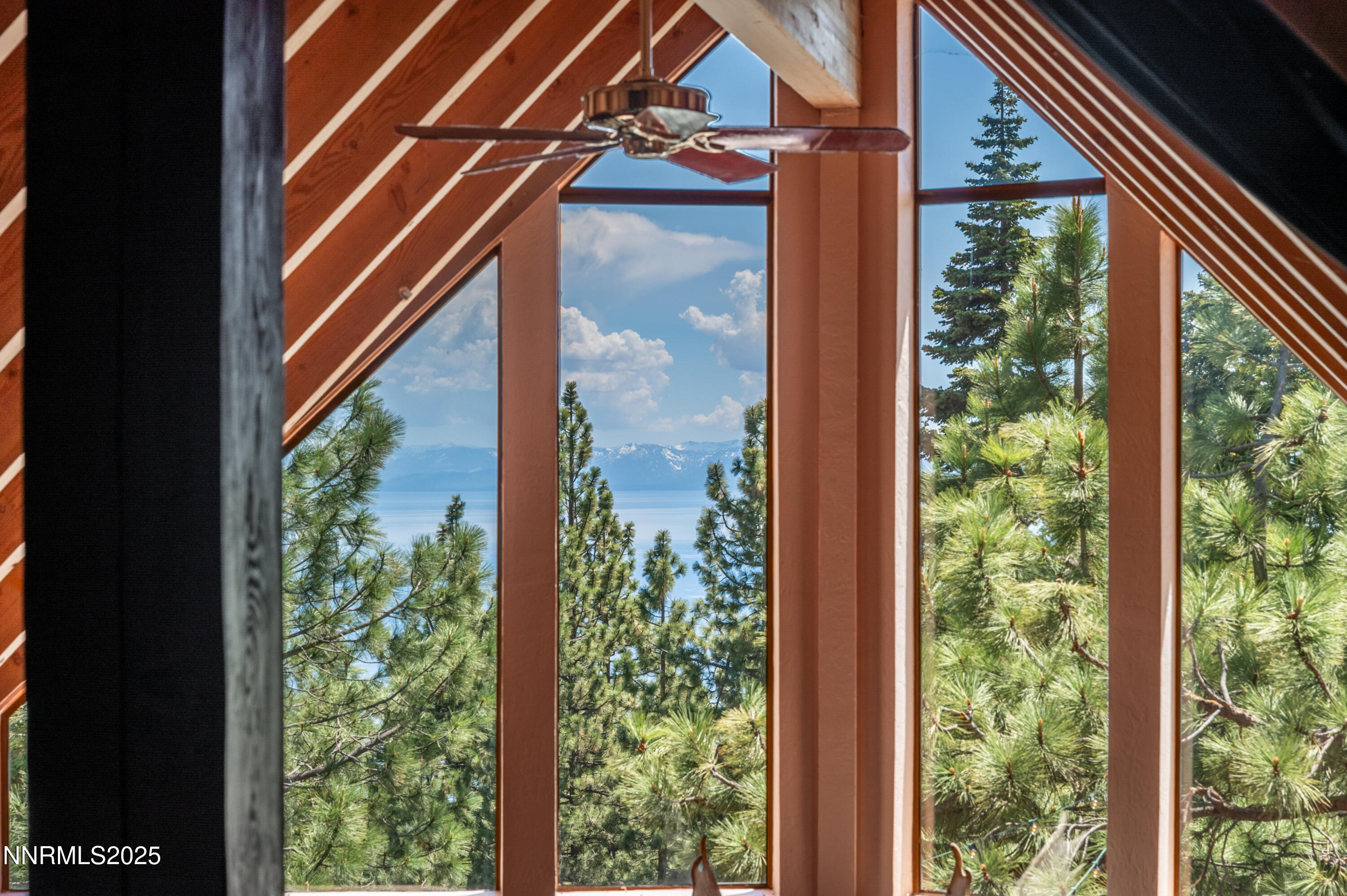 698 Saddlehorn Drive