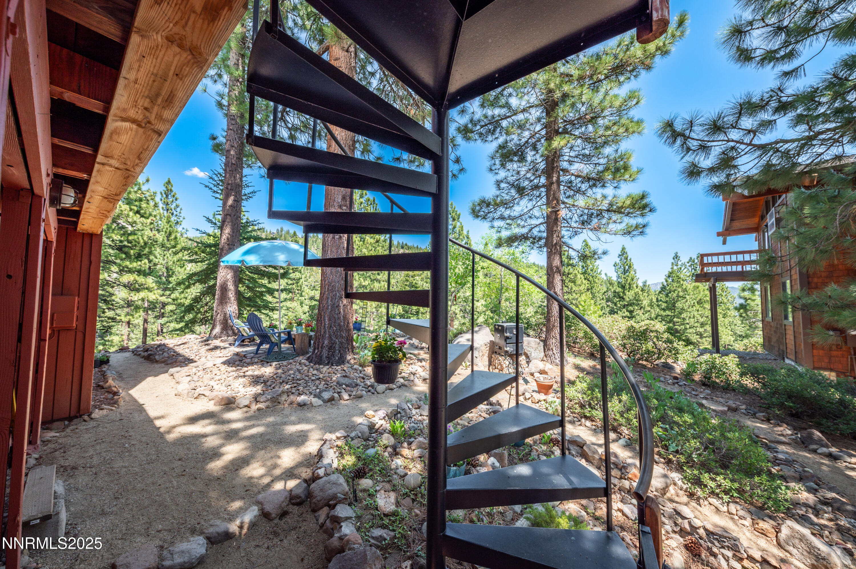 698 Saddlehorn Drive