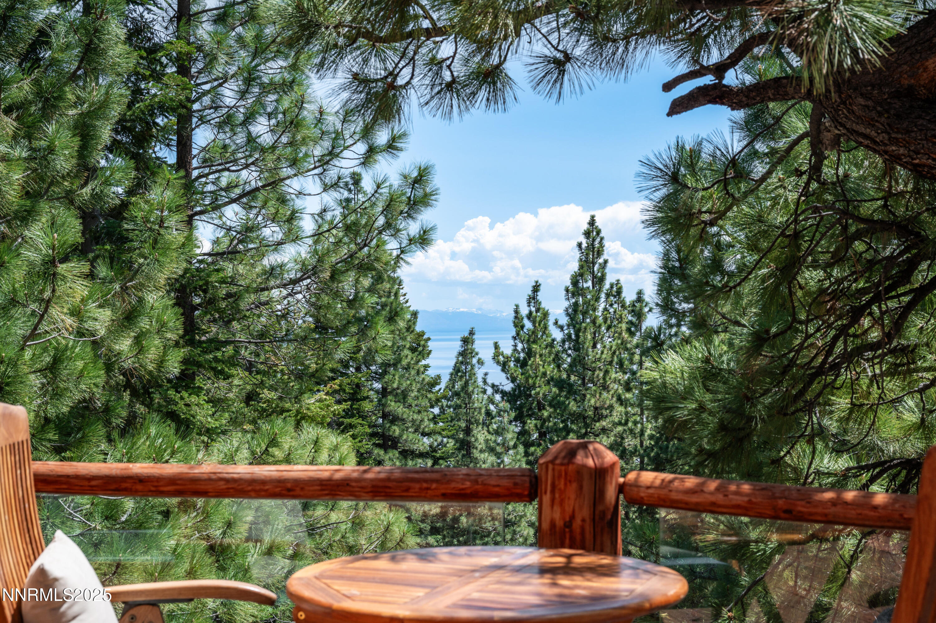 698 Saddlehorn Drive