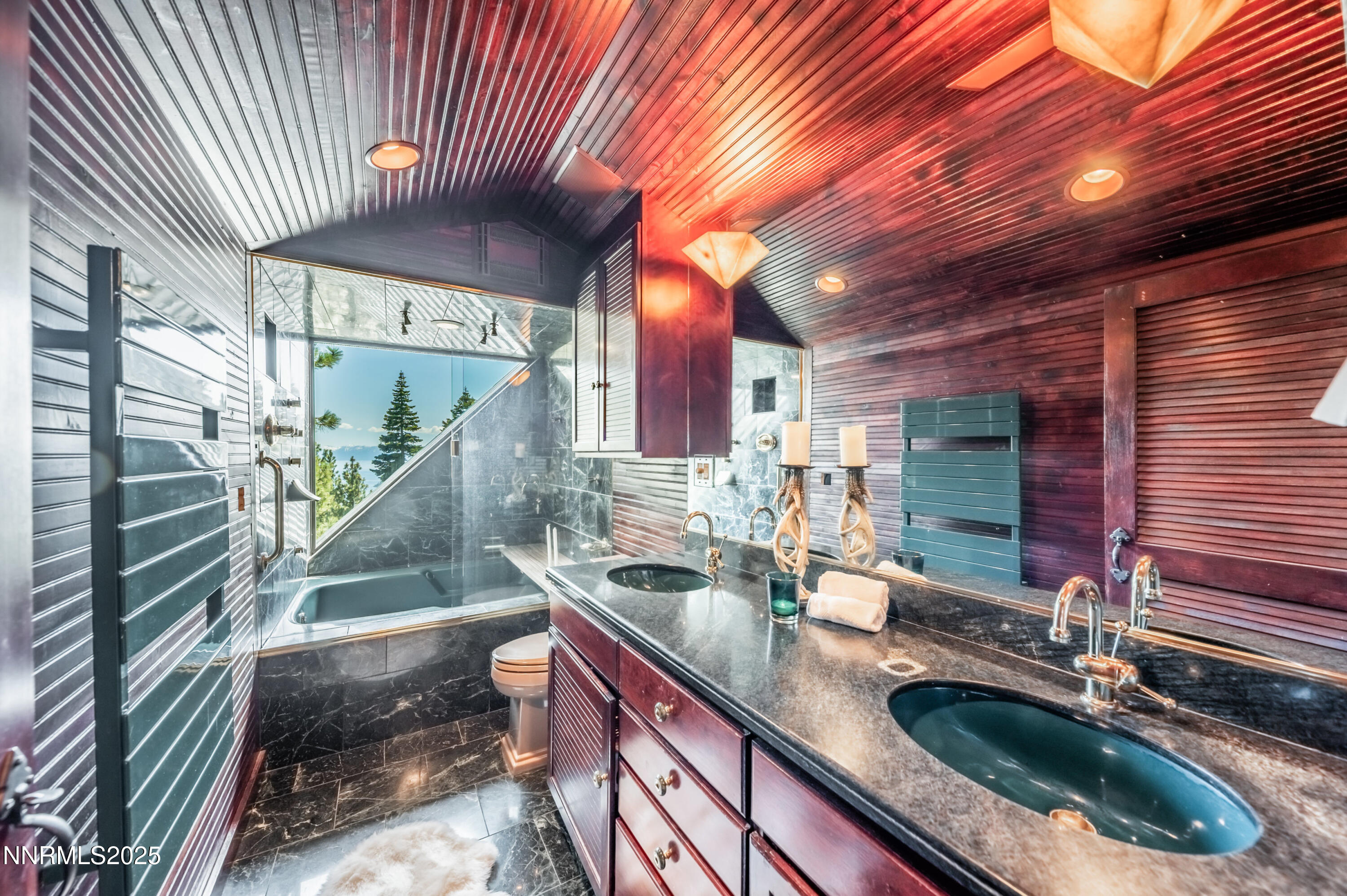 698 Saddlehorn Drive