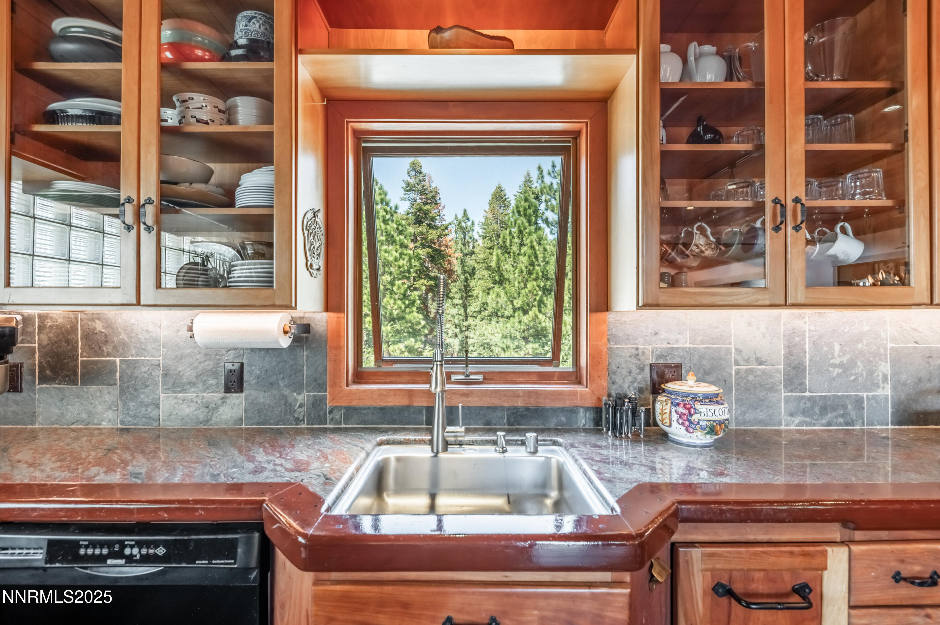 698 Saddlehorn Drive