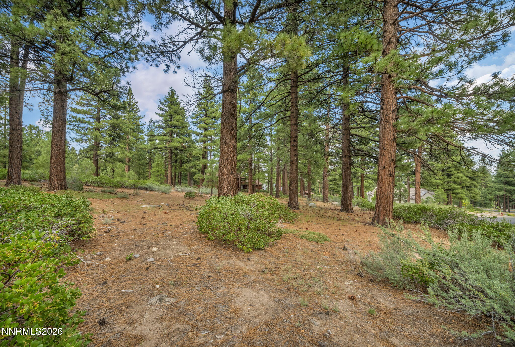 307 E Jeffrey Pine Road