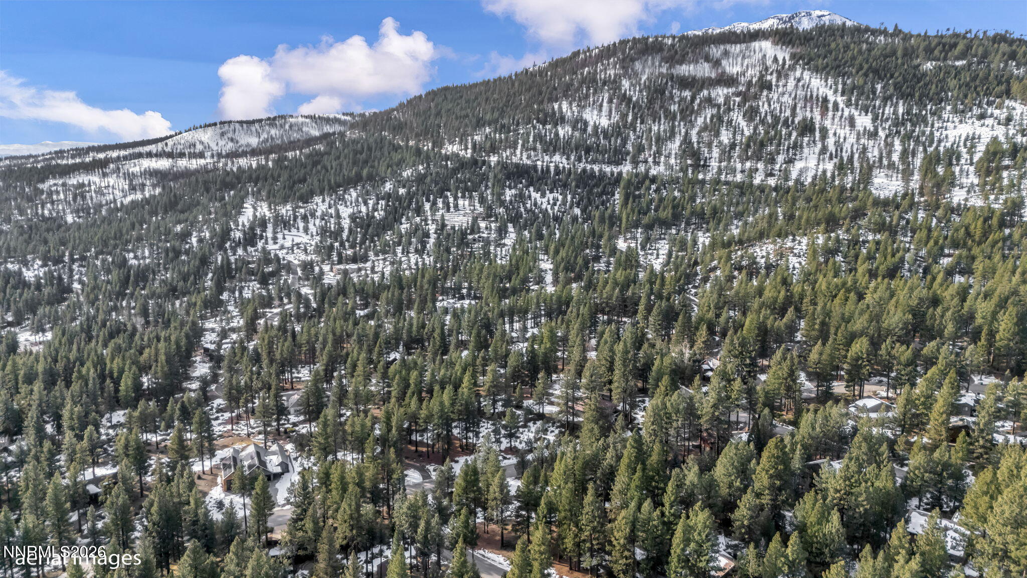 307 E Jeffrey Pine Road