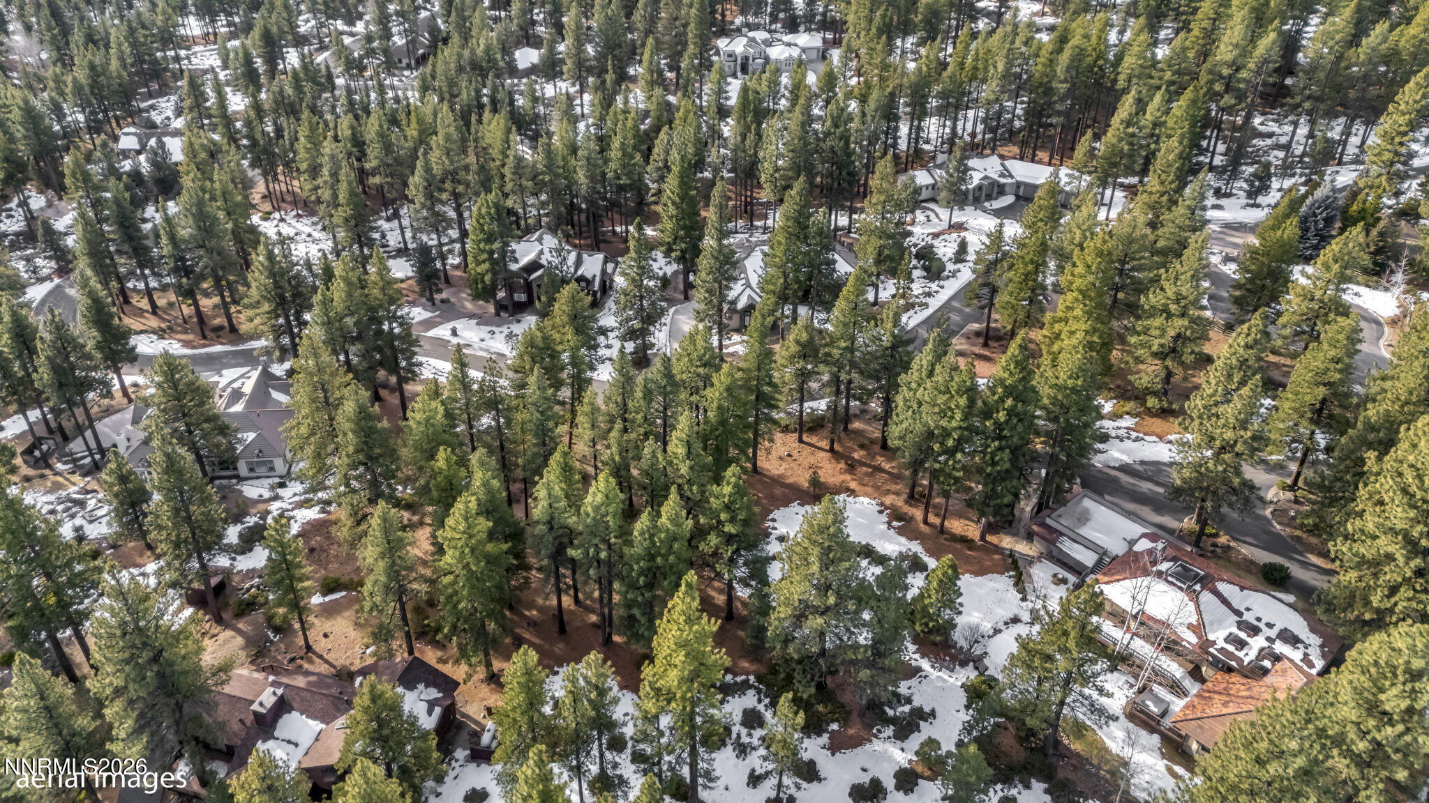 307 E Jeffrey Pine Road