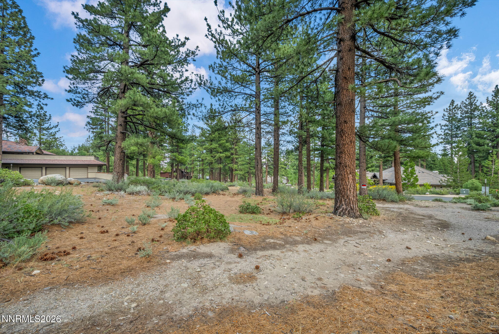 307 E Jeffrey Pine Road