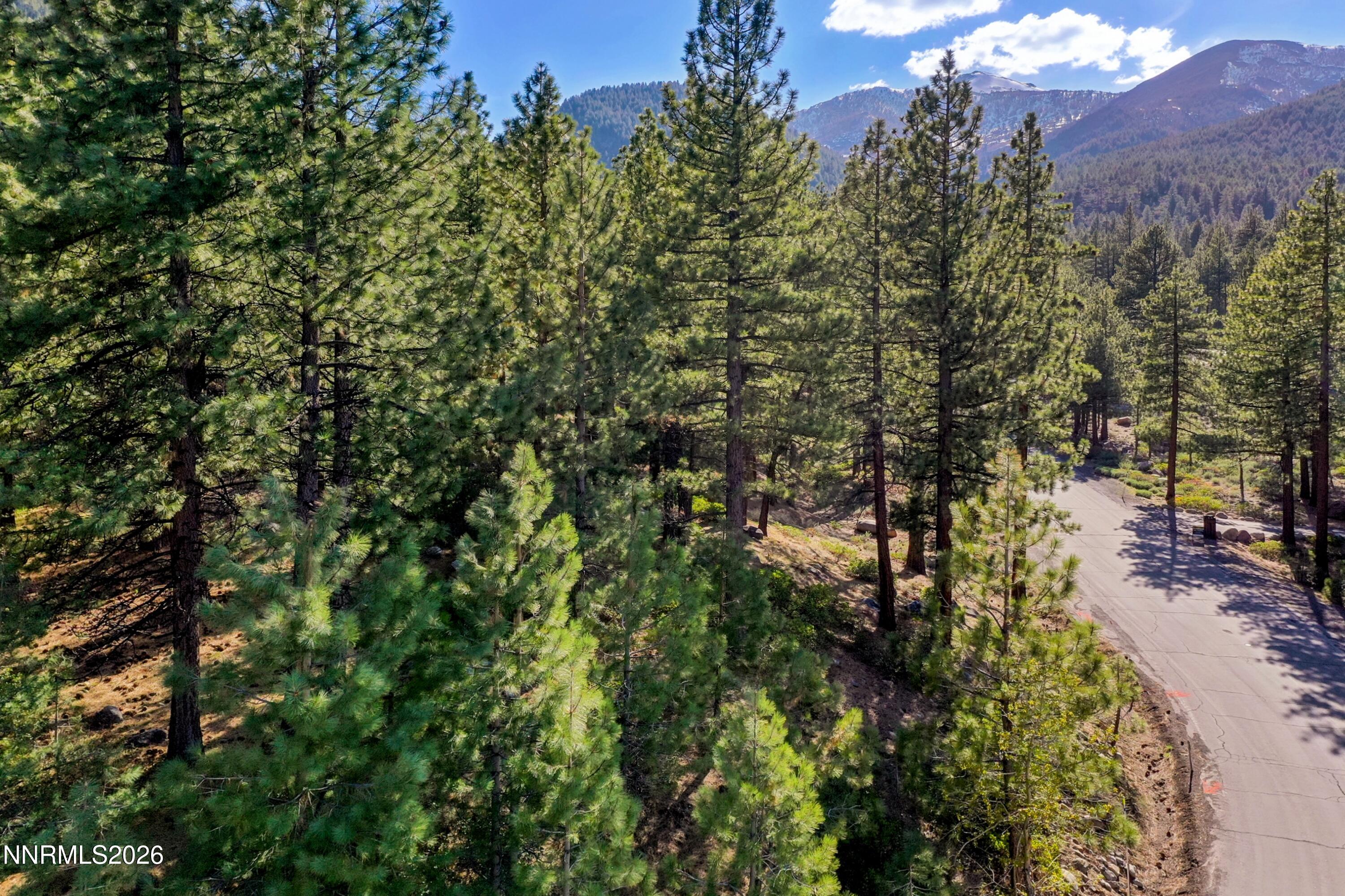 1205 Douglas Fir Drive, 1