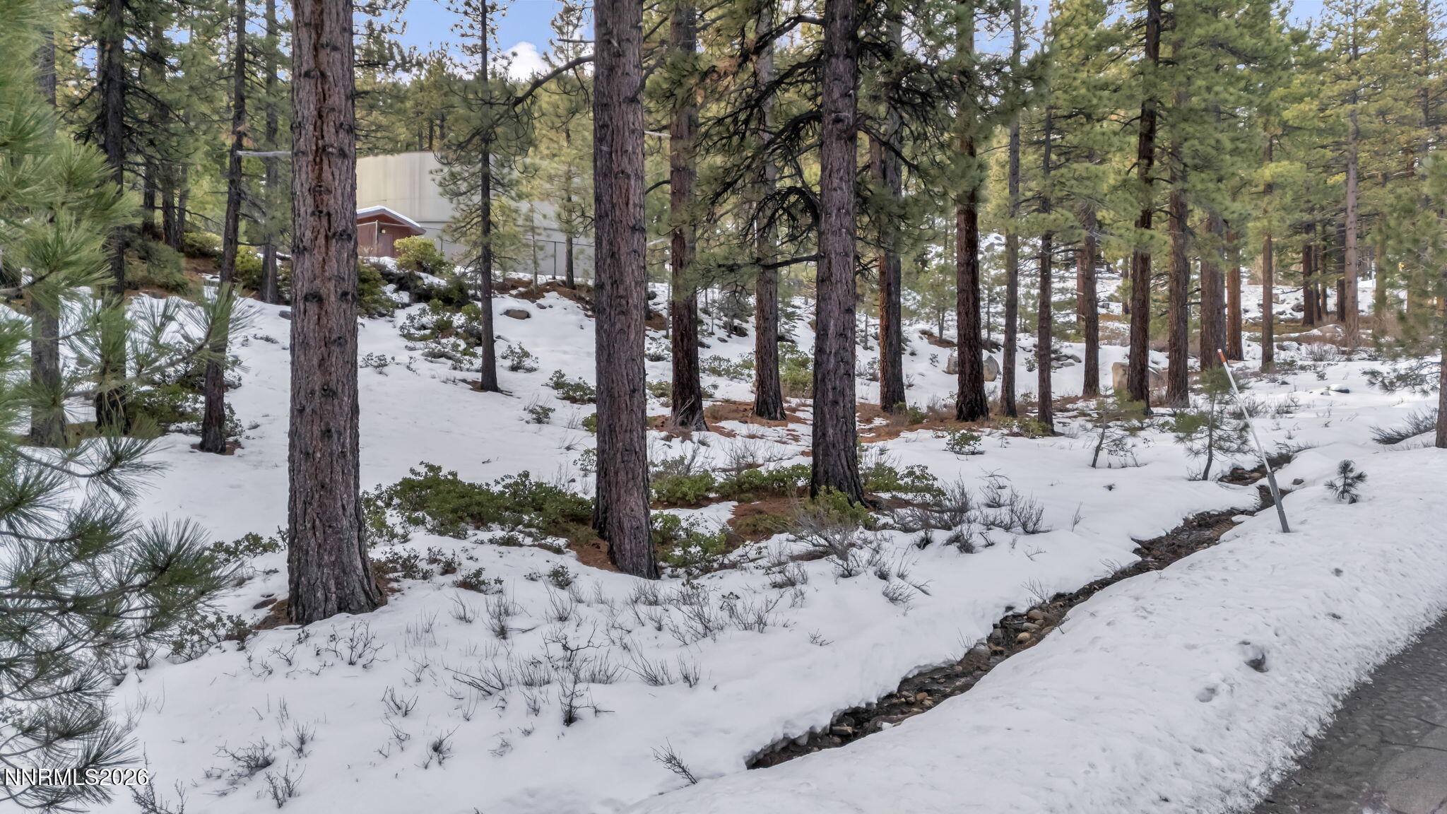 1205 Douglas Fir Drive