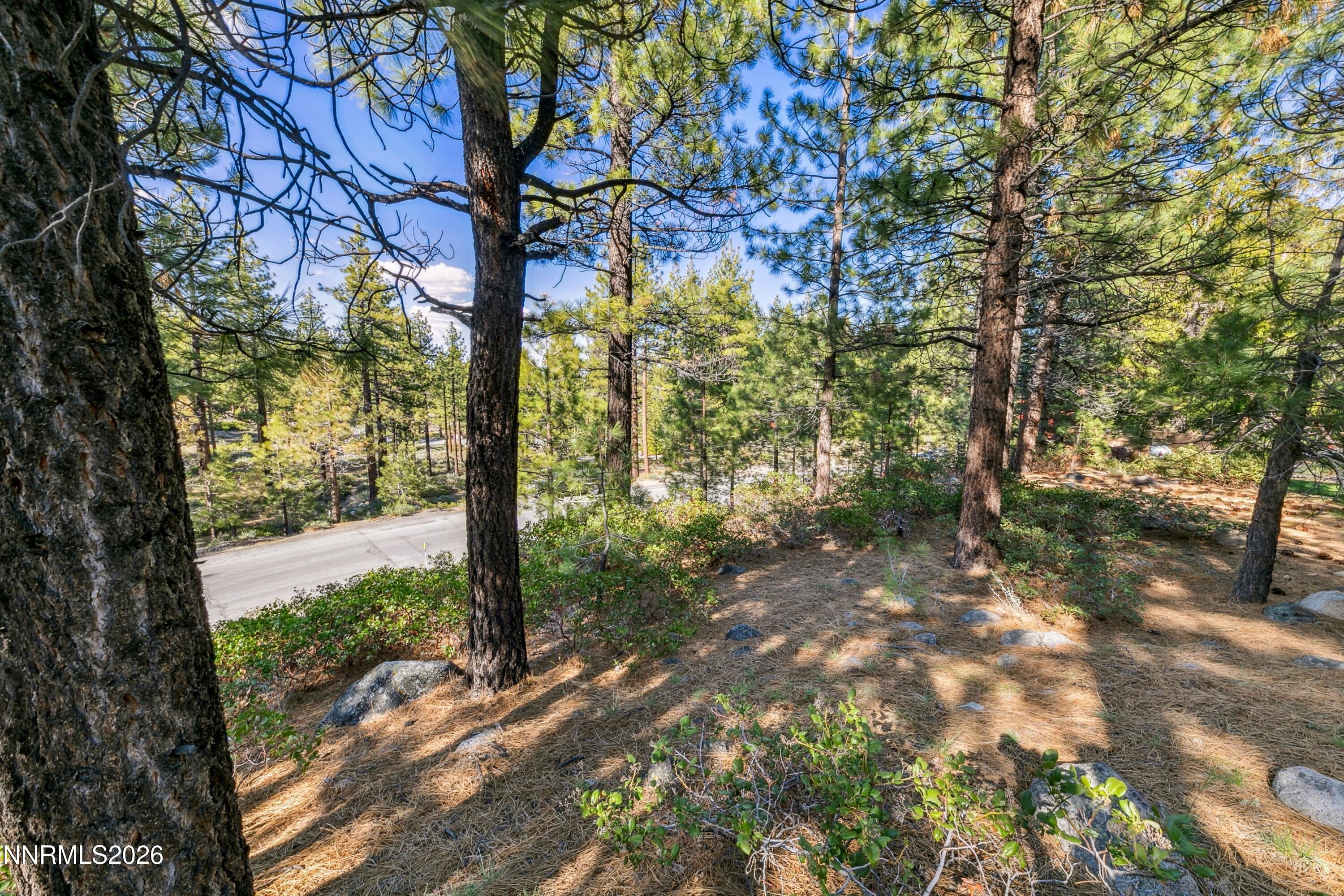 1205 Douglas Fir Drive, 1