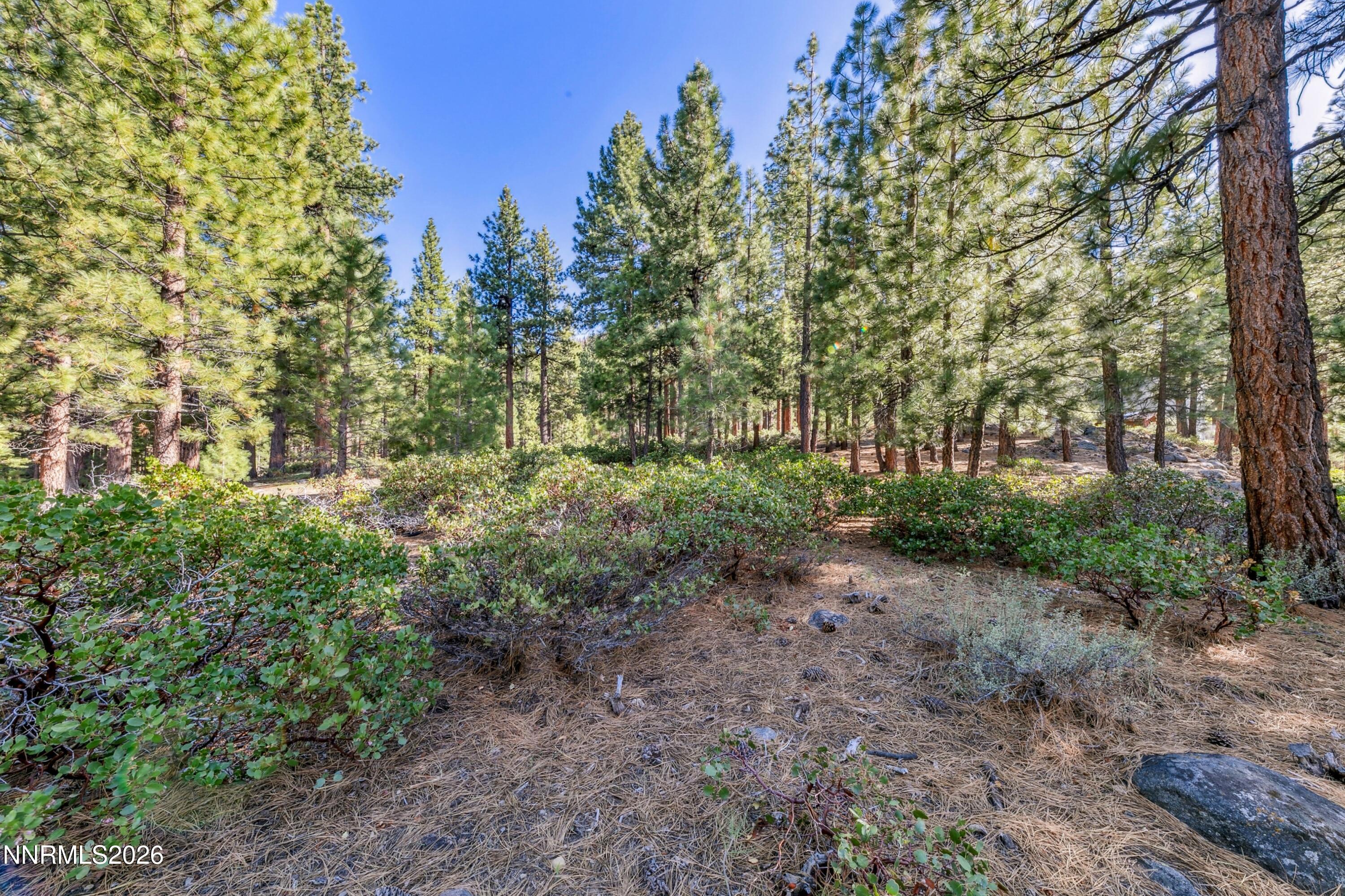 1205 Douglas Fir Drive, 1