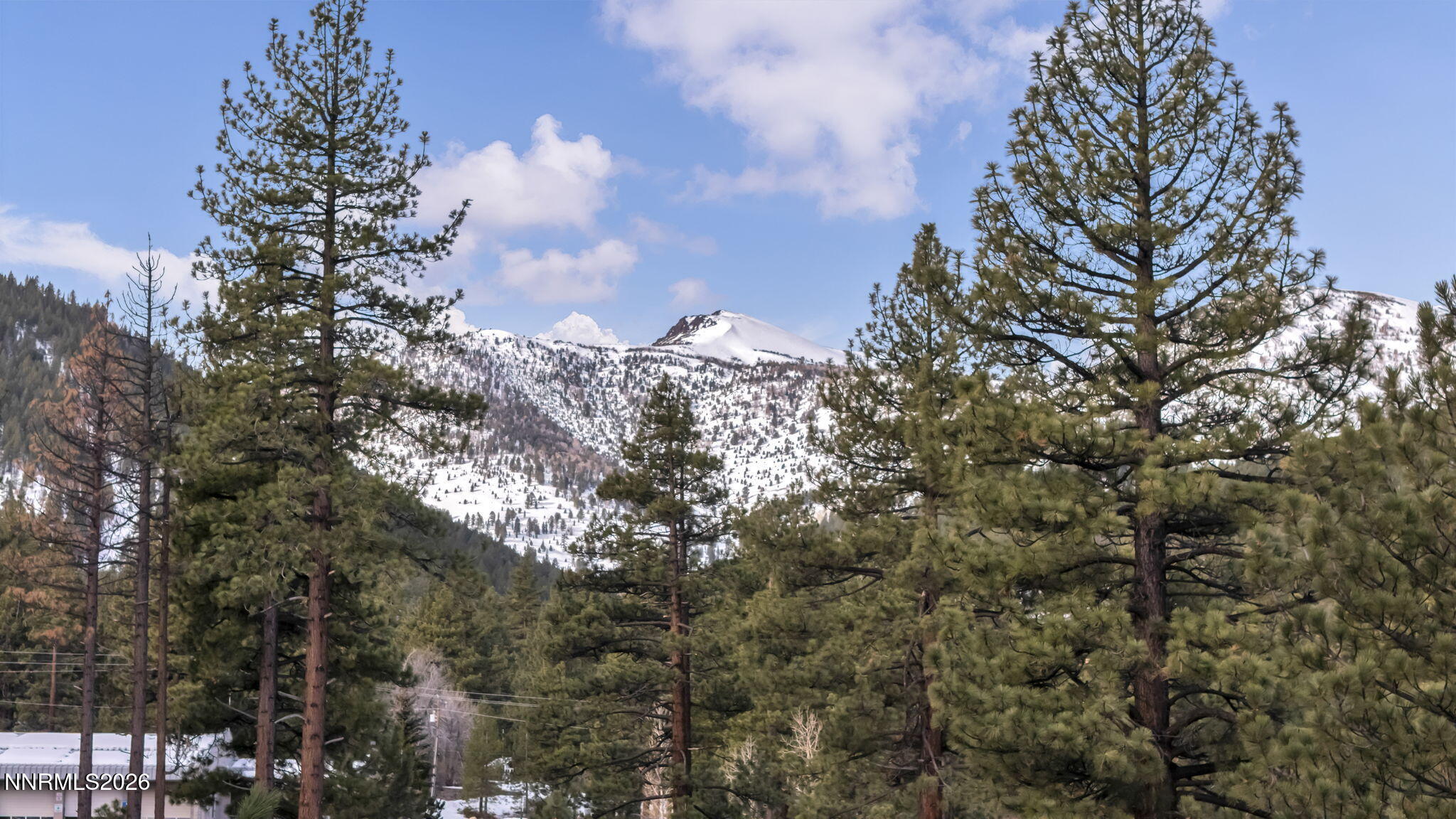 1205 Douglas Fir Drive, 1