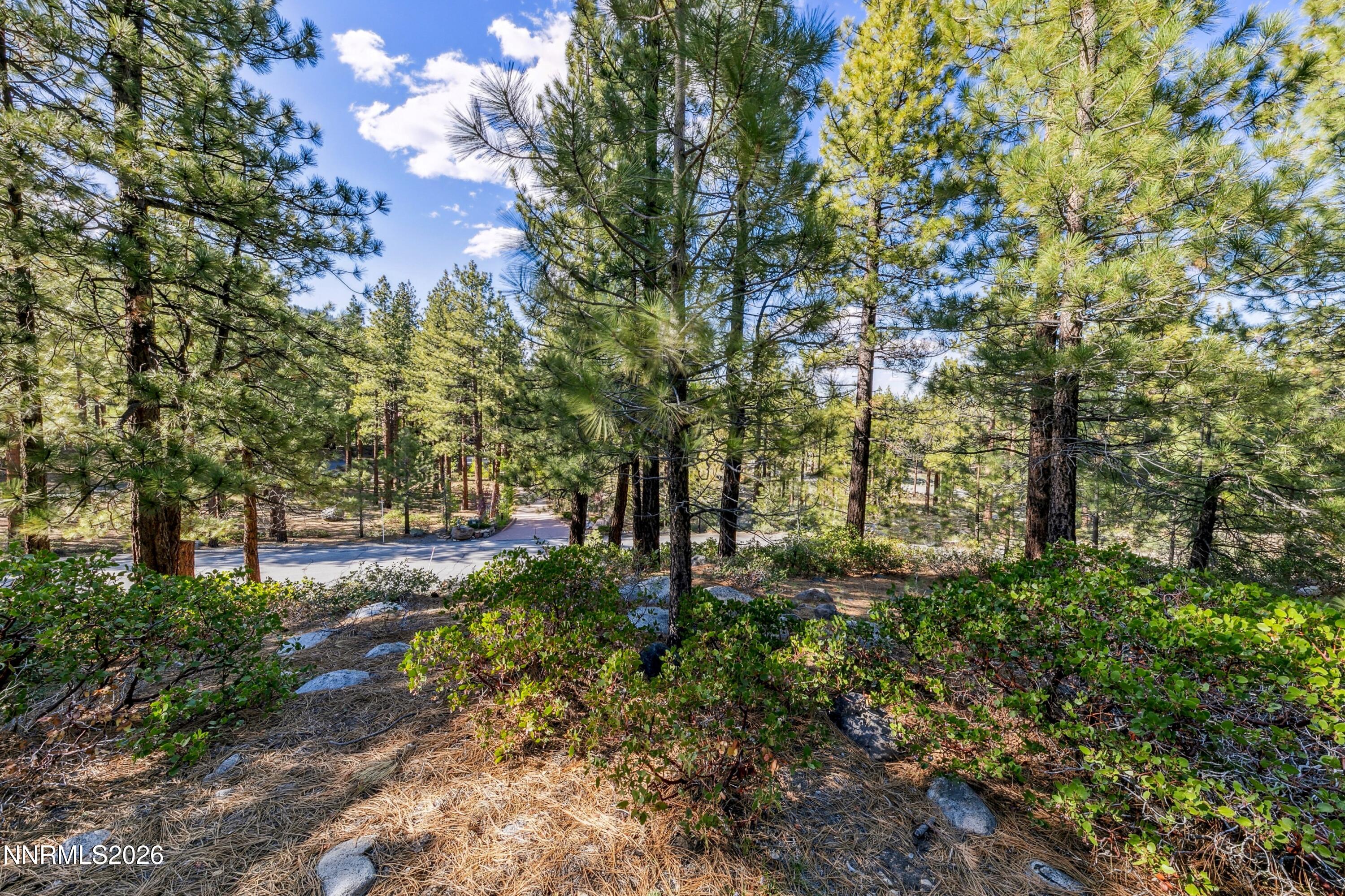 1205 Douglas Fir Drive, 1