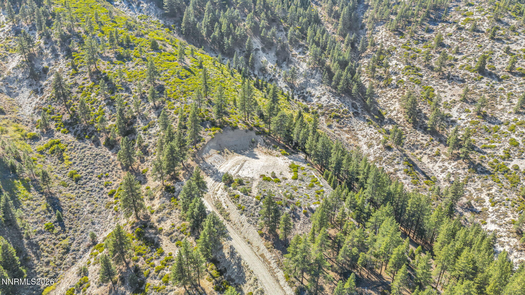2960 Jacks Valley Road