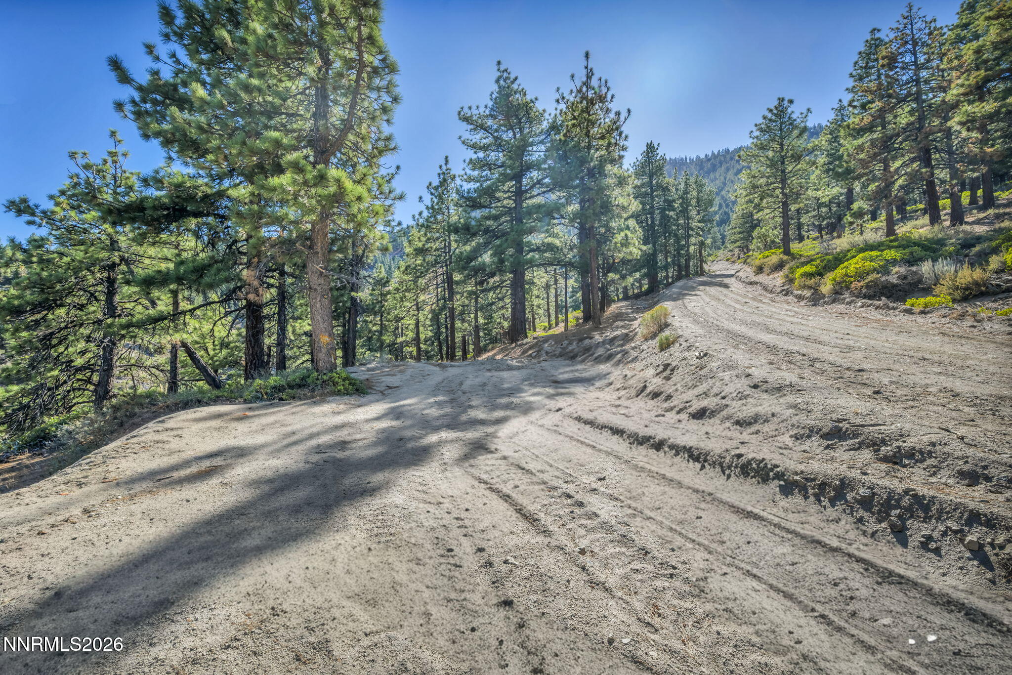 2960 Jacks Valley Road