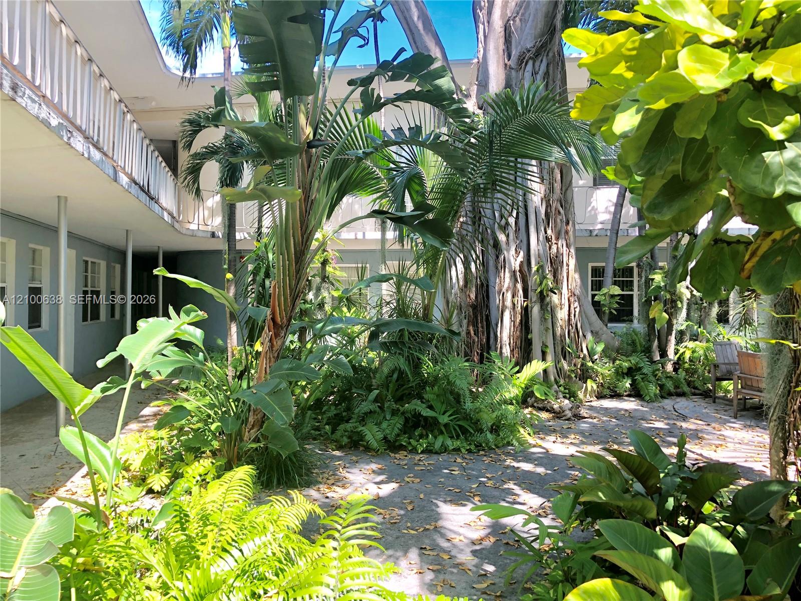 Tropical apartment courtyard with dense palms and ferns surrounding a paved walkway.