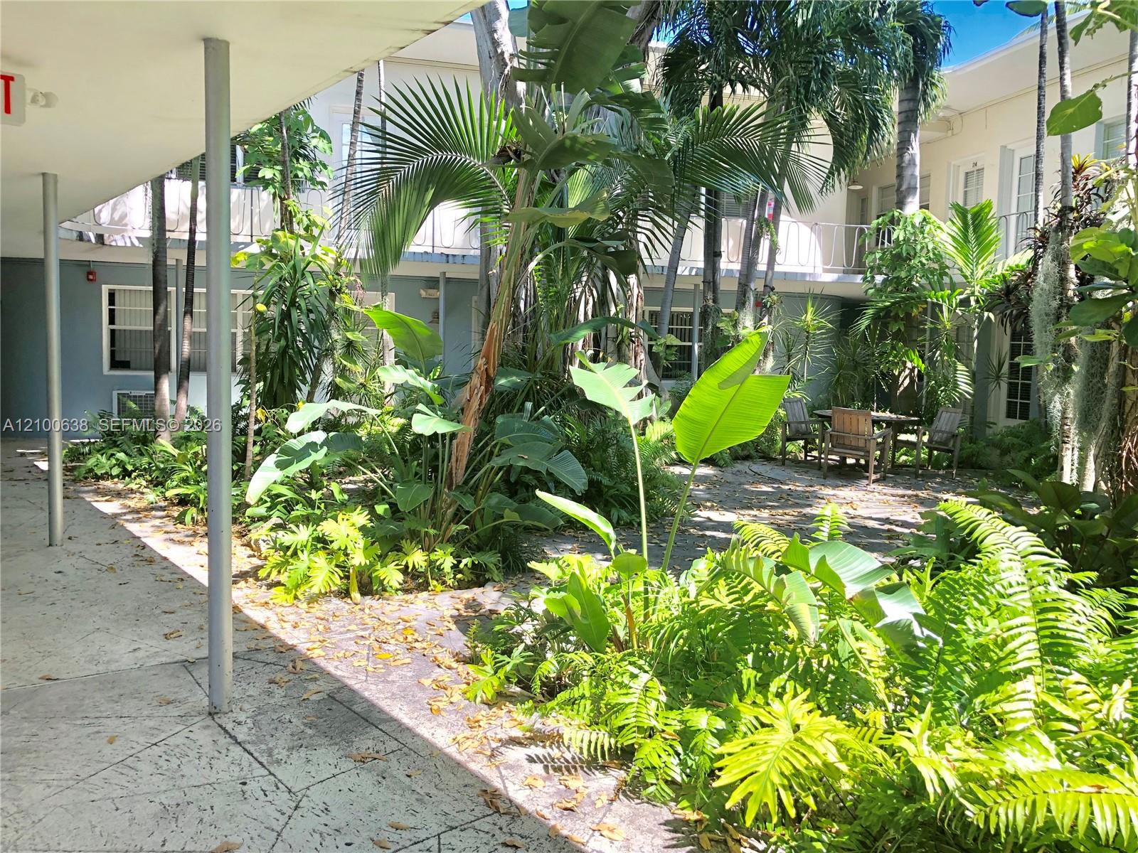 Residential courtyard with tropical palms, a paved walkway, and outdoor seating.