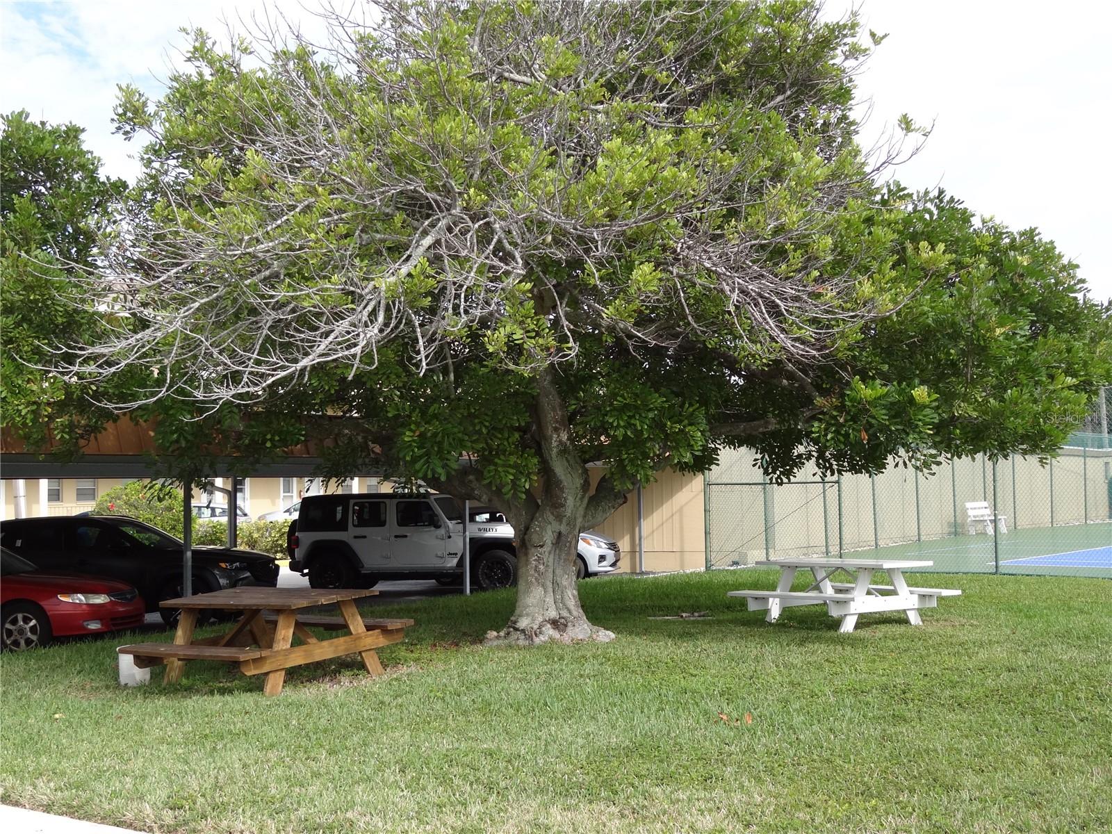 531 BOCA CIEGA POINT BLVD N #2707